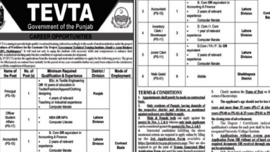 Technical Education & Vocational Training Authority TEVTA Lahore Jobs 2024