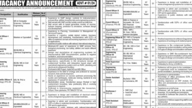 Progressive Public Sector Organization Islamabad Jobs 2024