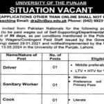 University Of The Punjab PU Lahore Jobs Announcement 2024