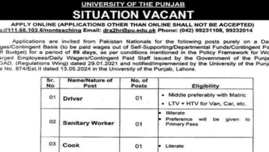 University Of The Punjab PU Lahore Jobs Announcement 2024