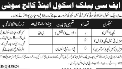 FC Public School & College Teaching Staff Jobs Announcement 2024