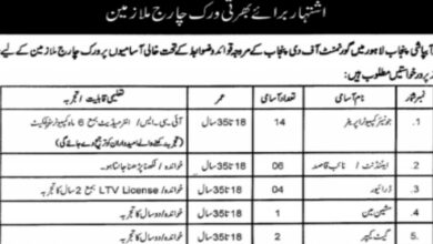 Punjab Irrigation Department Lahore Jobs 2024