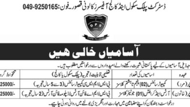 District Public School & College Jobs 2024