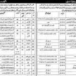 Social Welfare & Bait Ul Maal Department Lahore Latest Jobs 2024