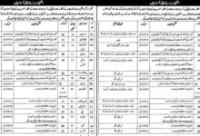 Social Welfare & Bait Ul Maal Department Lahore Latest Jobs 2024