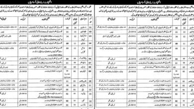 Social Welfare & Bait Ul Maal Department Lahore Latest Jobs 2024