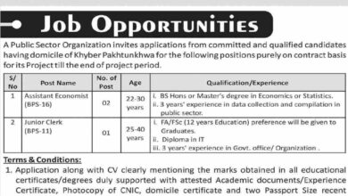 Public Sector Organization Peshawar Jobs 2024