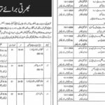 Mines & Minerals Department Lahore Latest Jobs Advertisement 2024