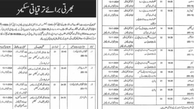 Mines & Minerals Department Lahore Latest Jobs Advertisement 2024