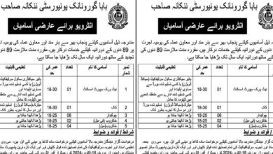 Baba Guru Nanak University Nankana Sahib Jobs 2024