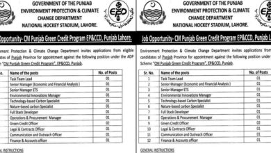 Environment Protection & Climate Change Department Lahore Jobs 2024