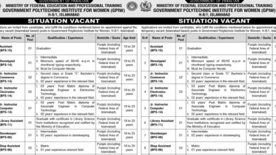 Ministry of Federal Education & Professional Training MOENT Islamabad Jobs 2024