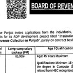 Punjab Board Of Revenue Jobs Notification Latest October 2024