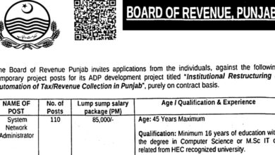 Punjab Board Of Revenue Jobs Notification Latest October 2024