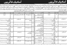 Army Canine Center Rawalpindi Vacancies 2024