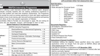 WAPDA Lahore Internship Programme 2024