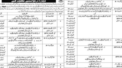 Small Industries Wing Balochistan Vacancies Notification 2024