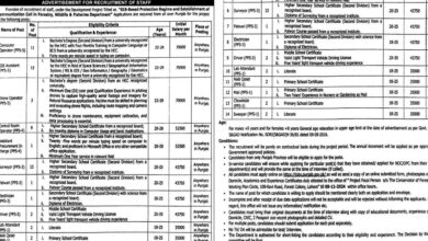 Wildlife And Fisheries Department Lahore Jobs Notification October 2024