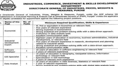 Directorate General Of Industries Punjab Jobs Notice October 2024