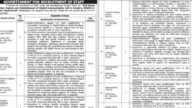 Forest Department Lahore Vacancies Notice 2024