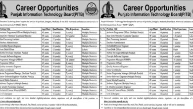 PITB Lahore Jobs Notification Out 2024