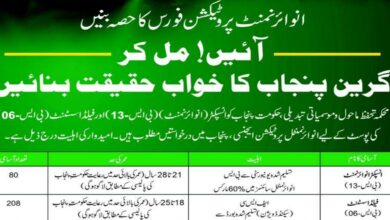 Environment Protection & Climate Change Department Lahore Jobs Notice 2024