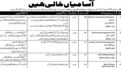 Inspectorate of Electronics and Instruments Rawalpindi Vacancies Notice 2024