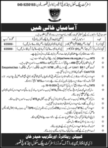 District Public School & College Jobs 2024 