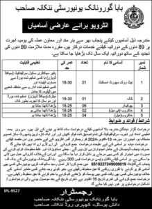 Baba Guru Nanak University Nankana Sahib Jobs 2024