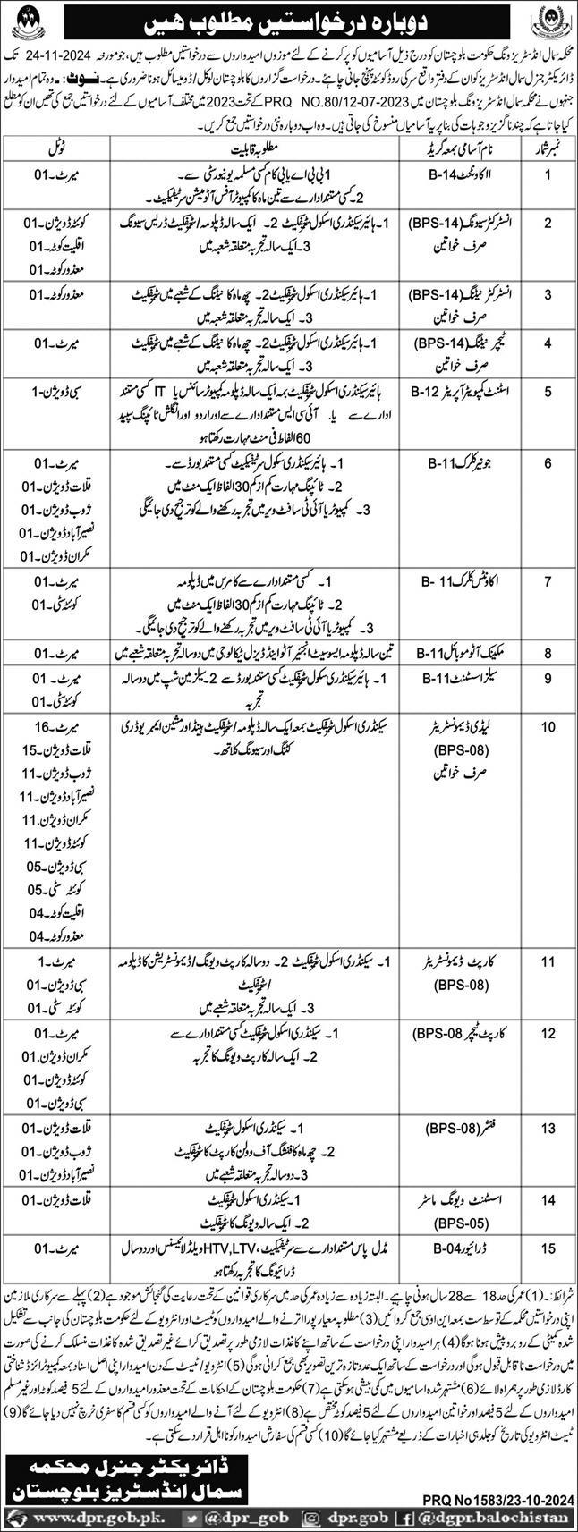 Small Industries Wing Balochistan Vacancies Notification 2024