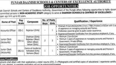 Punjab Daanish Schools & Center Of Excellence Authority Vehari Jobs Notification 2024