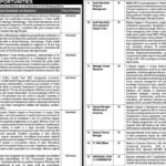 National TB Control Program NTP Islamabad Vacancies Notice 2024