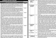 National TB Control Program NTP Islamabad Vacancies Notice 2024