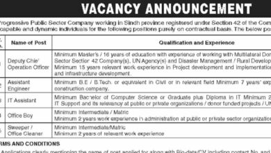 Public Sector Karachi Vacancies Notification November 2024