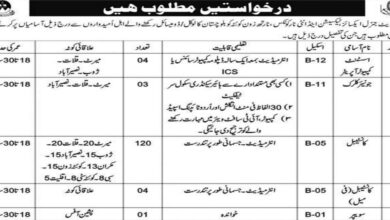 Excise Taxation & Narcotics Control Department Vacancies Notification 2024