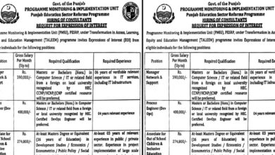 Programme Monitoring & Implementation Unit Lahore Jobs Notification 2024