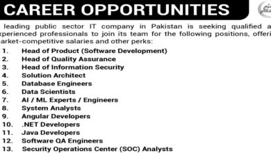 Public Sector IT Company Islamabad Vacancies Notice 2024