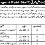 Live Stock & Dairy Development Lahore Recruitment Notice 2024