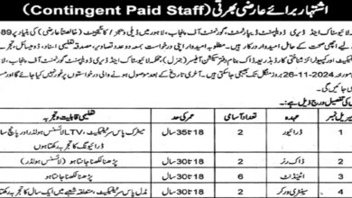 Live Stock & Dairy Development Lahore Recruitment Notice 2024