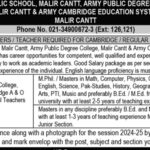 Army Public School Lecturer Jobs Notification November 2024