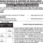 Punjab Daanish Schools Teaching Staff Jobs Notification Out 2024