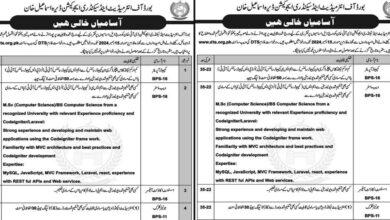 BISE Dera Ismail Khan Vacancies Notice 2024