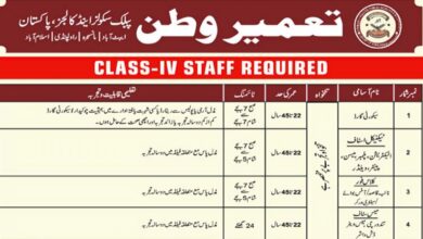 Tameer Wattan Public Schools & Colleges Jobs Notification November 2024