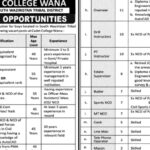 BPS-02 To BPS-17 Vacancies Notice Cadet College 2024