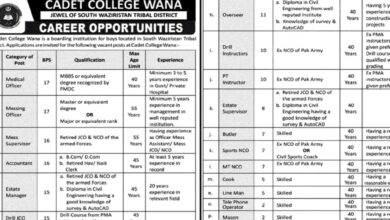 BPS-02 To BPS-17 Vacancies Notice Cadet College 2024