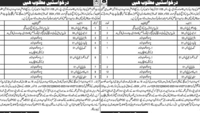 Deputy Commissioner Office Jobs Notice 2024