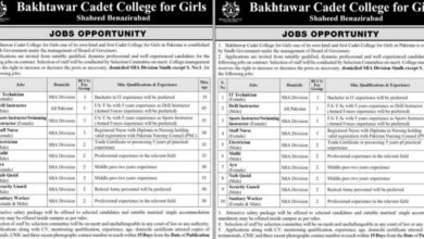 Bakhtawar Cadet College For Girls Jobs 2024