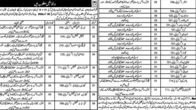 Sandeman Provincial Hospital Quetta 2024