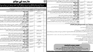 Sindh Institute of Physical Medicine & Rehabilitation Jobs Notice 2024