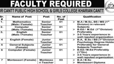 Cantt Public High School and Girls College Jobs 2024